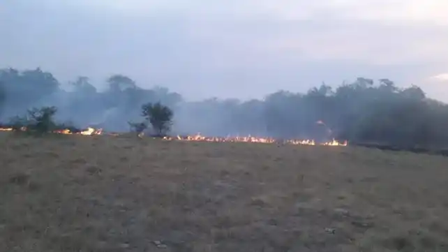 En Médanos siguen los incendios en el sur de Entre Ríos