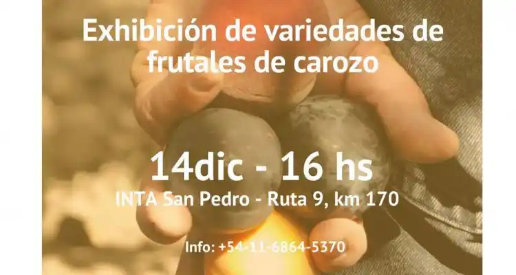 Variedades en exhibición