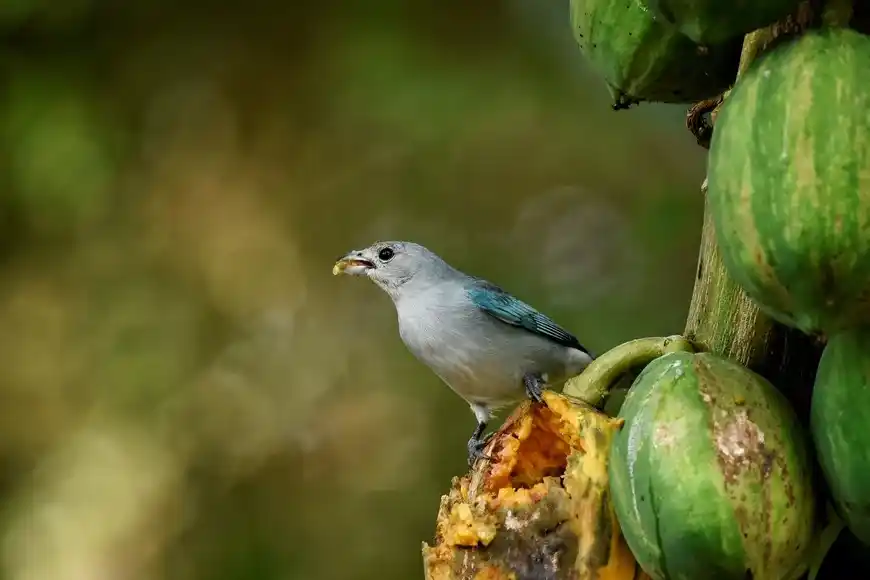 Jardín Florido se suma al sistema de recursos naturales