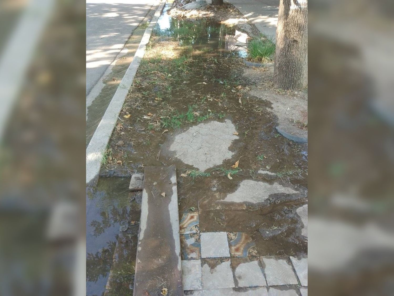 Piden que arreglen las cloacas en barrio Futuro