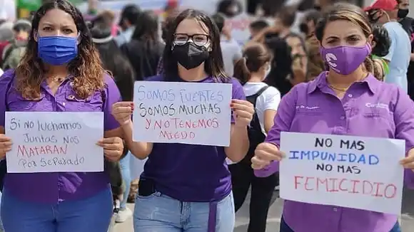 VIOLENCIA DIGITAL Y PRESIÓN POLÍTICA: AN chavista reforma Ley de las Mujeres