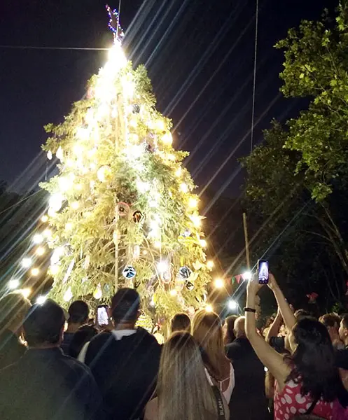 Encendieron las luces del arbolito de Navidad