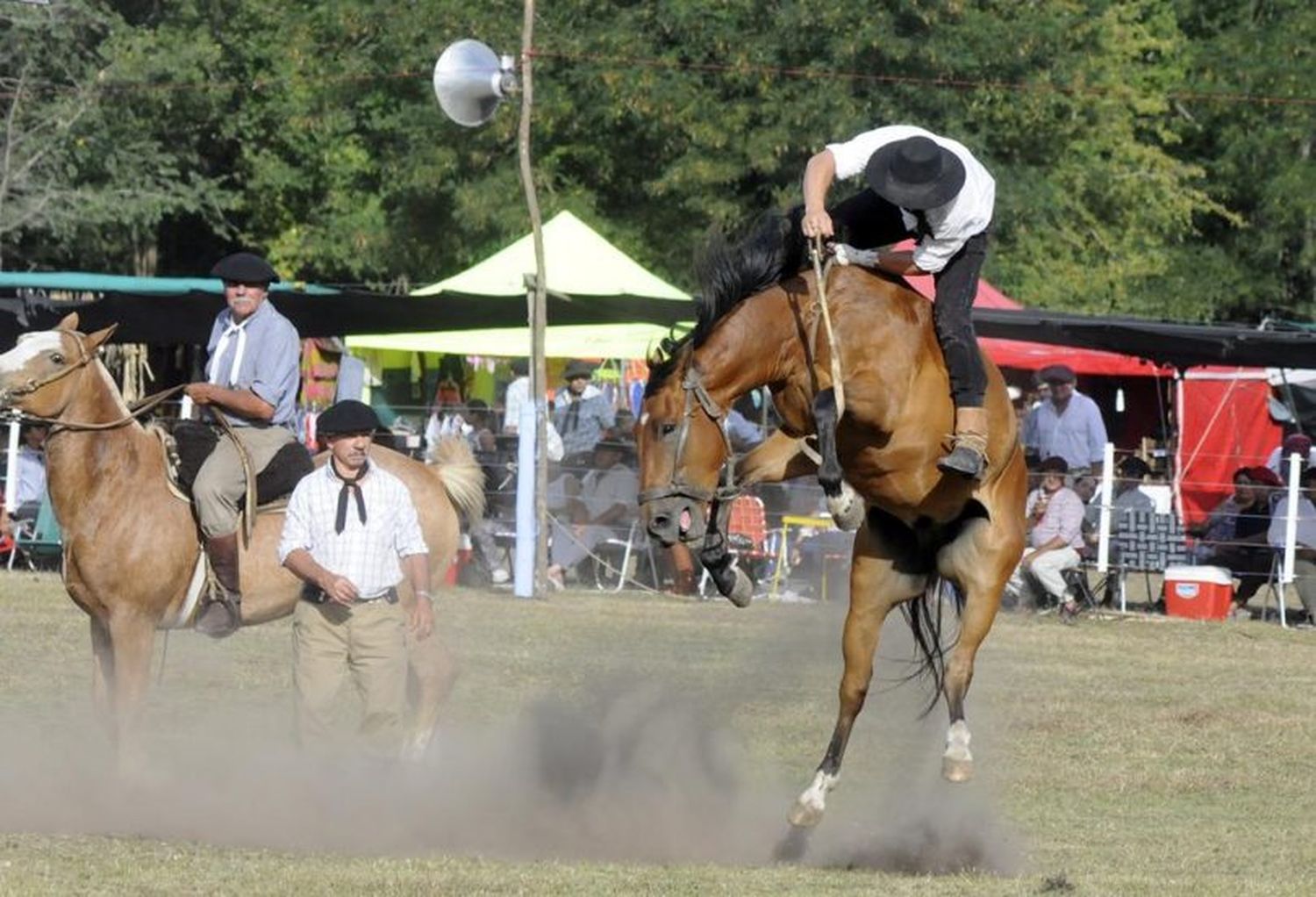 Chocaron dos caballos de frente “por una boina”: un jinete internado con diversas fracturas