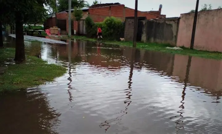 Temporal de lluvia: Defensa Civil asistió en 12 domicilios por casas inundadas, problemas en techos y árboles caídos