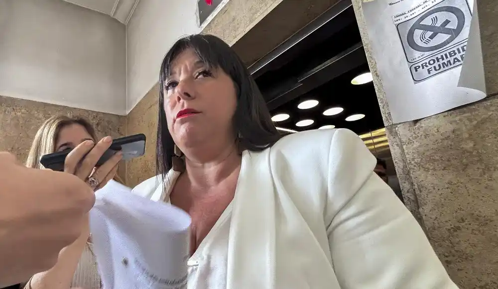 Mariana Barbitta, abogada de Alberto Fernández.