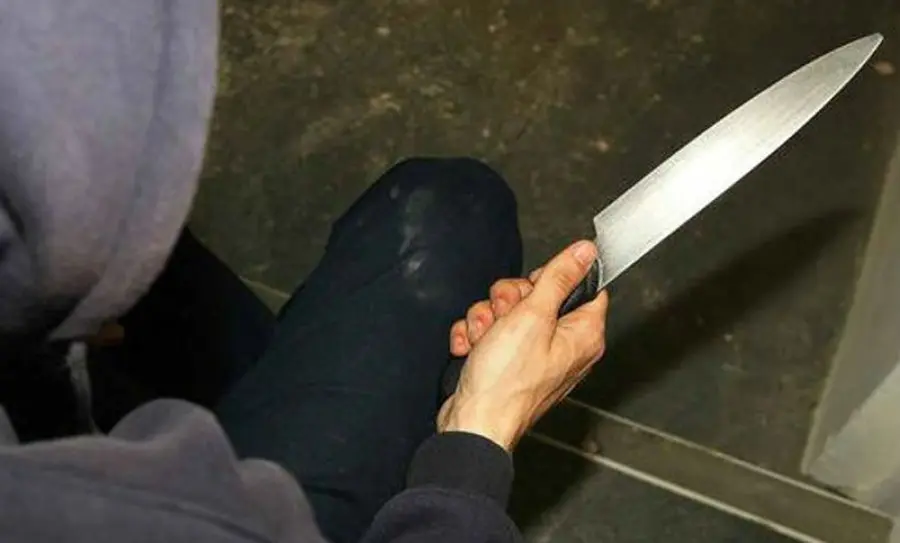 Foto ilustrativa de un arma blanca similar a la utilizada