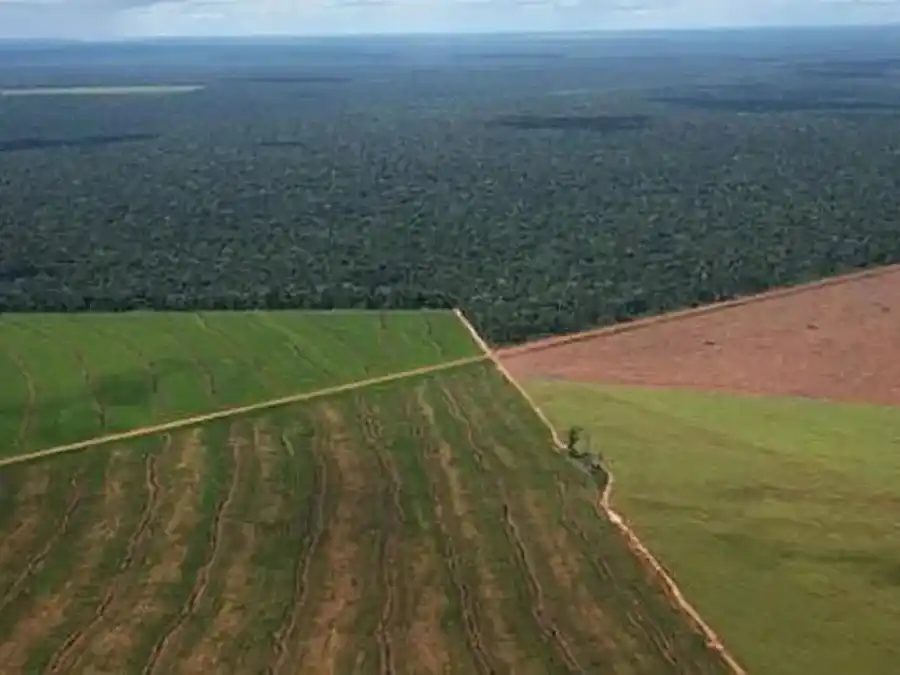 Ley de Tierras: reforma libera compra de extranjeros y elimina restricción tras incendios