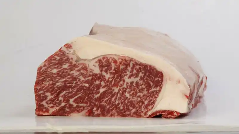 Gastronomía a Cielo Abierto: una noche para celebrar los sabores y los 30 años del Hotel Jardín