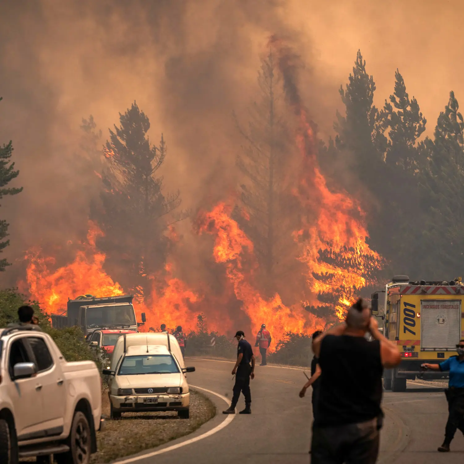 Se reactivaron incendios forestales en Chubut: focos activos en el Parque Nacional Los Alerces