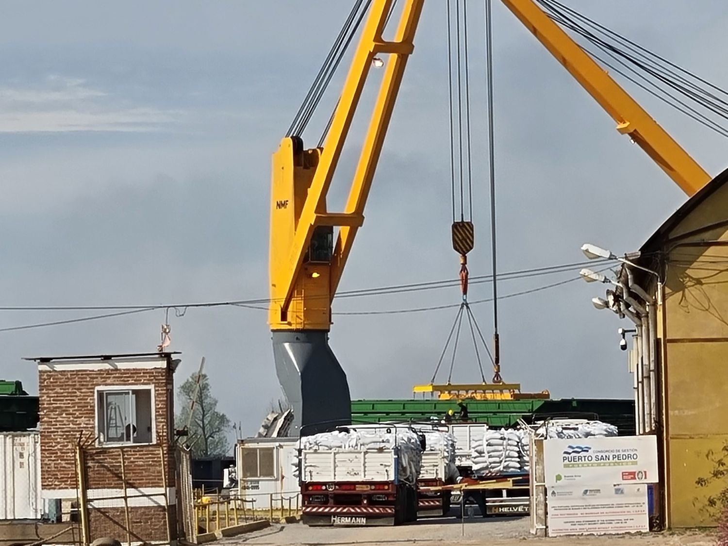 Cargan desde el puerto arvejas verdes con destino a Venezuela: “Es la primera vez”, aseguraron