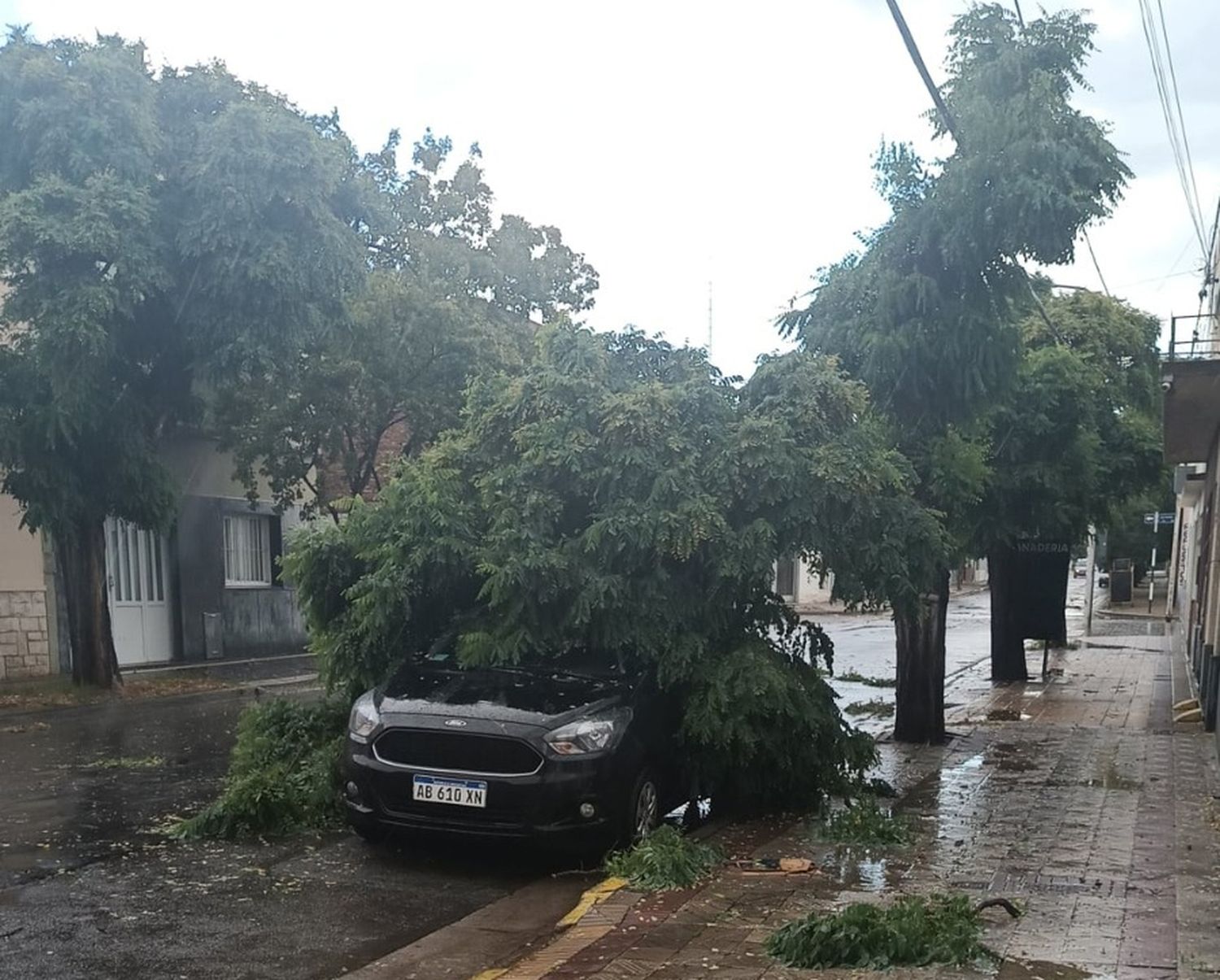 Los destrozos que dejó el inesperado temporal en Tandil