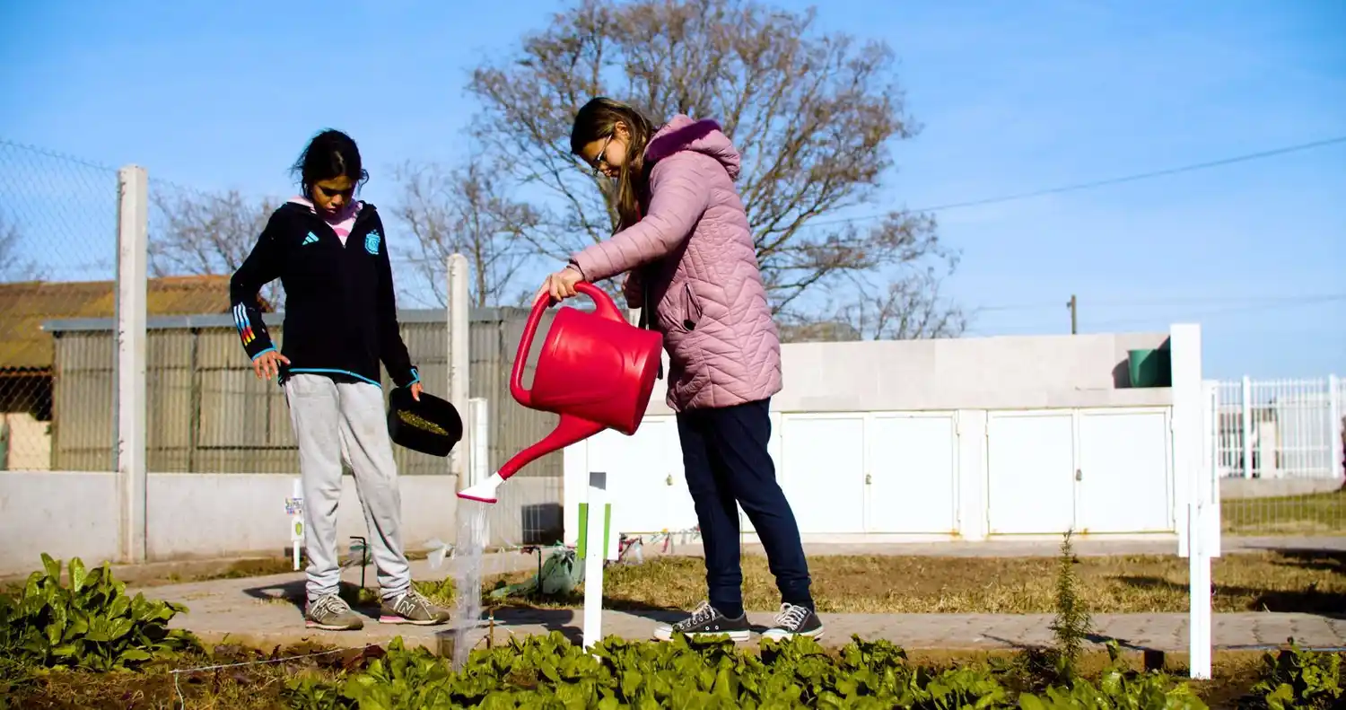 Huerta en la escuela