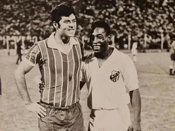 Willington con pele