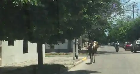 ¡El colmo!