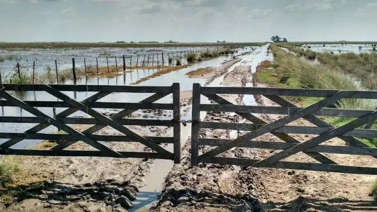 Inundaciones: declaran la emergencia hídrica en seis distritos