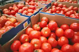 Moreno sugirió sustituir el tomate ante posible escasez
