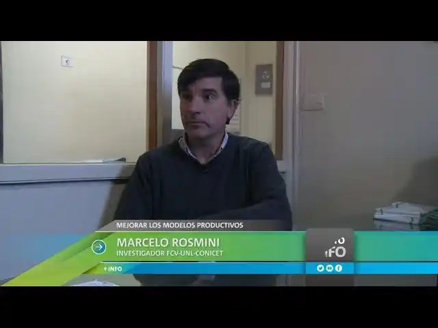 Buscan nuevos probióticos para animales