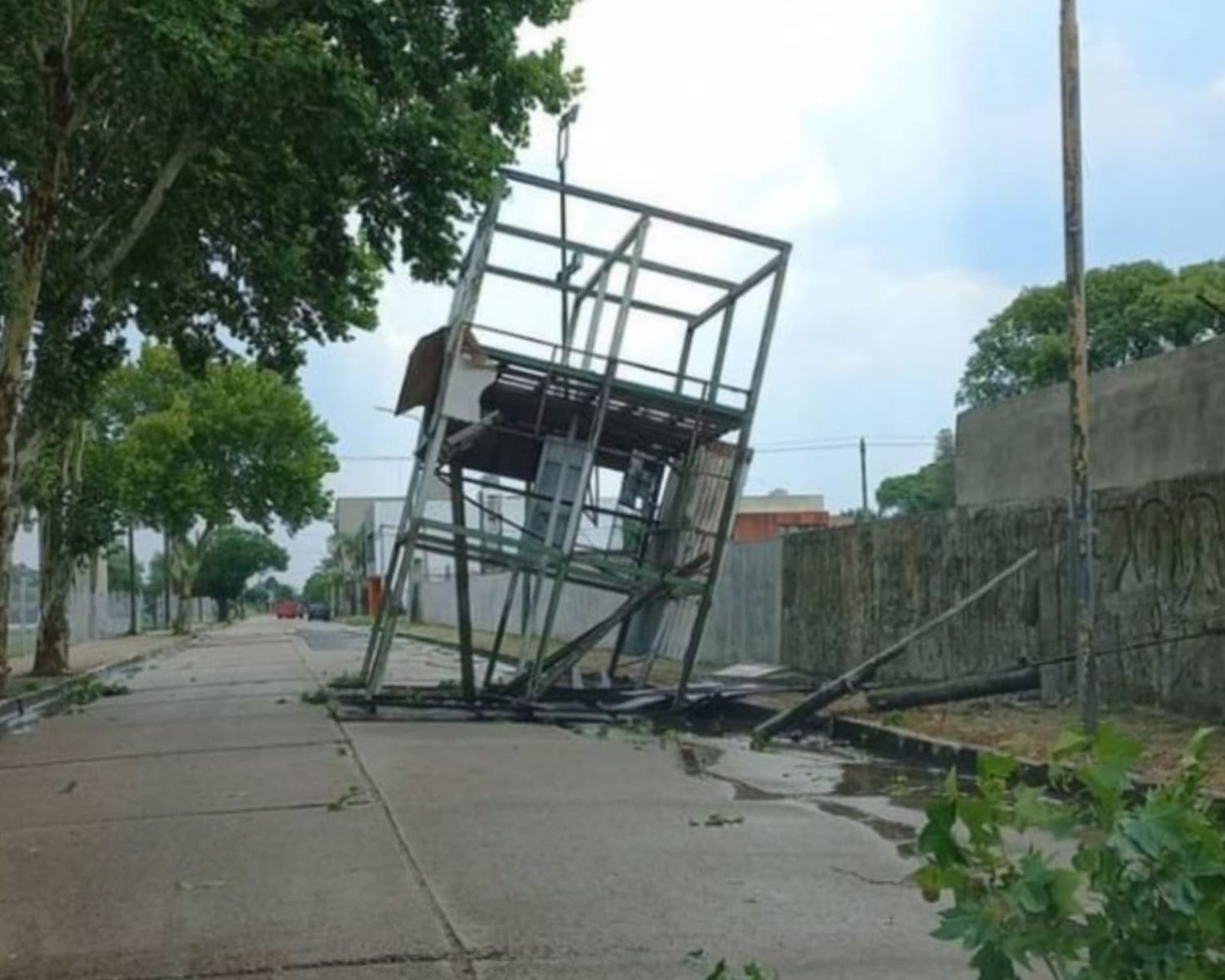 temporal tribuna
