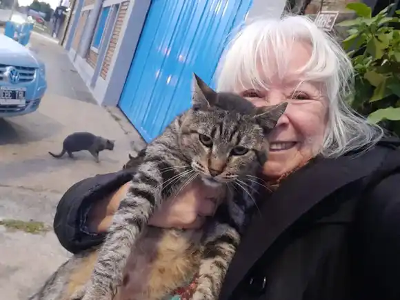Elisa, la mujer que dedica su vida a los gatos callejeros