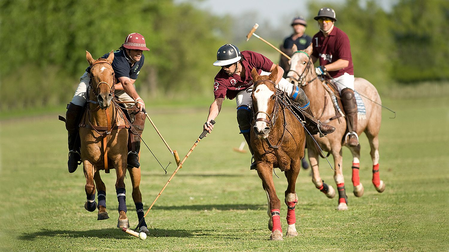 ¿Por qué y cómo Argentina logró tener tanta jerarquía en el polo a nivel mundial?