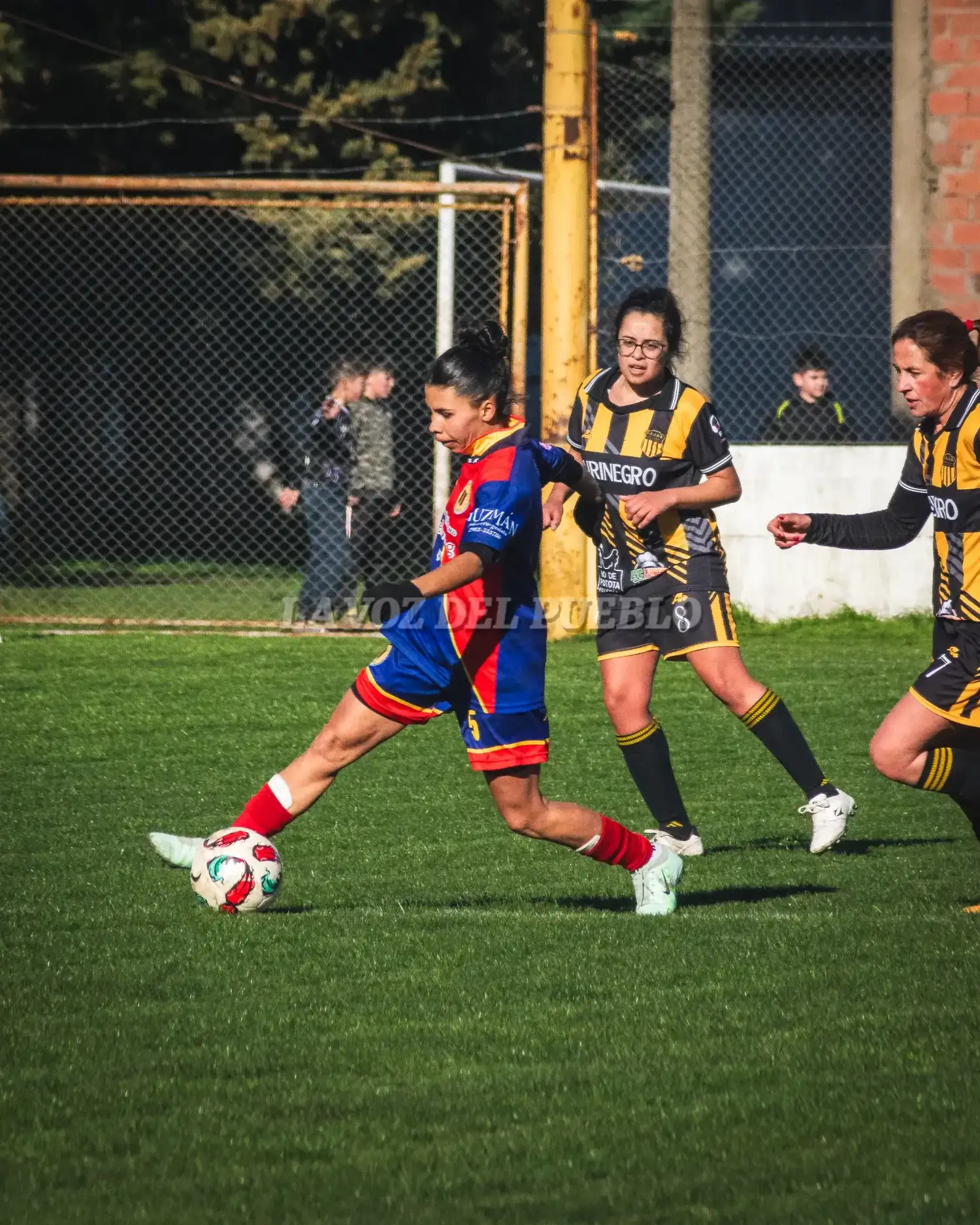 femenino cole-barra - 3