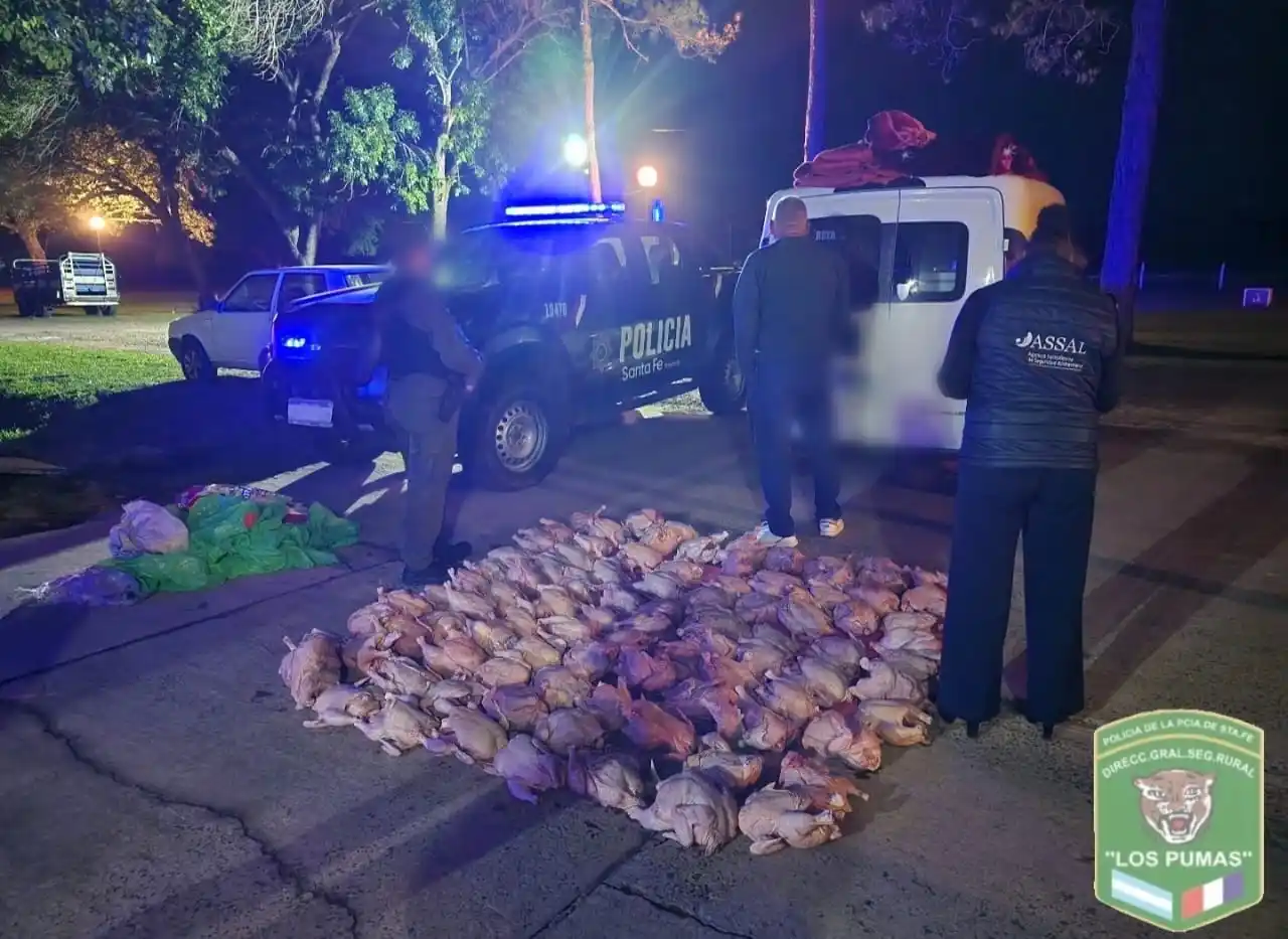 secuestro pollos los pumas