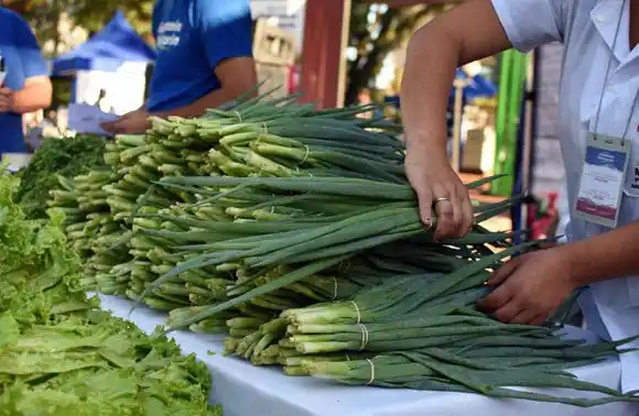 La brecha de precios entre el consumidor y el productor subió 8,6% en diciembre