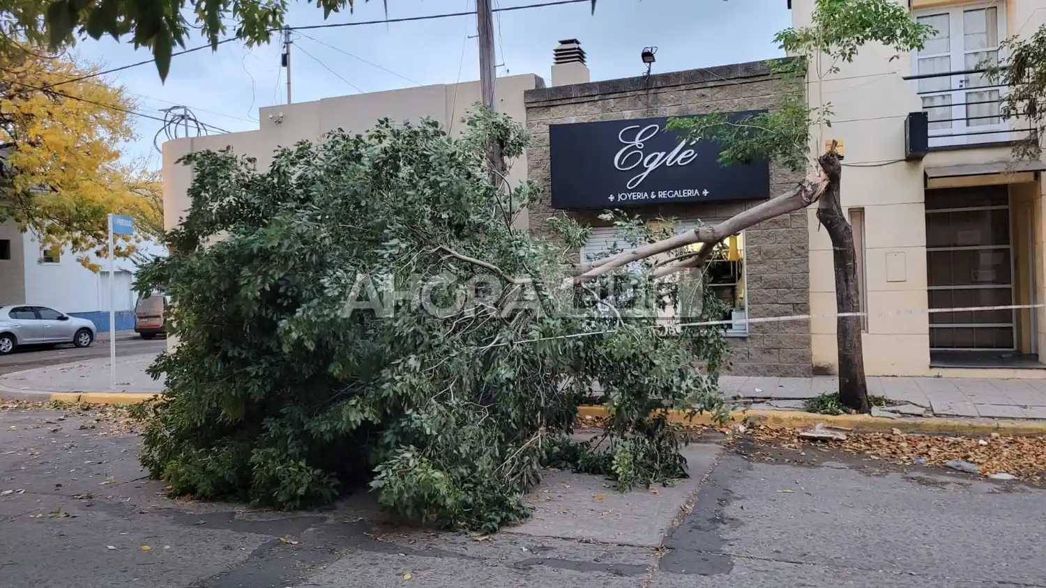 Fotos: Santiago Burgos