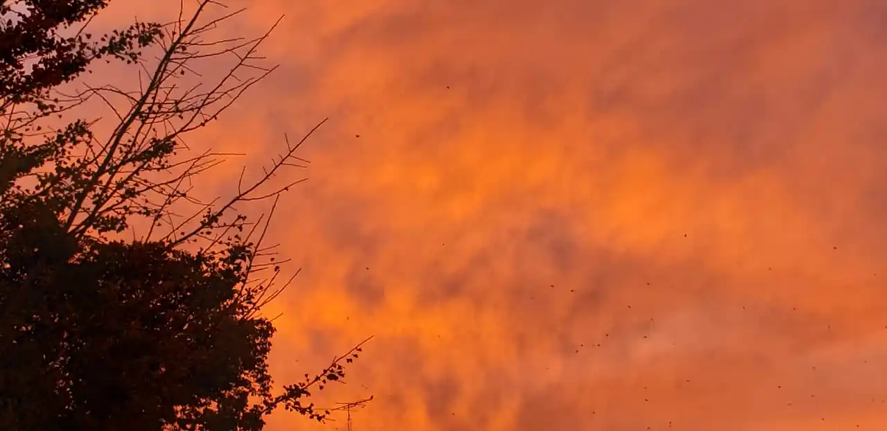Entre Ríos en alerta violeta por bajas temperaturas