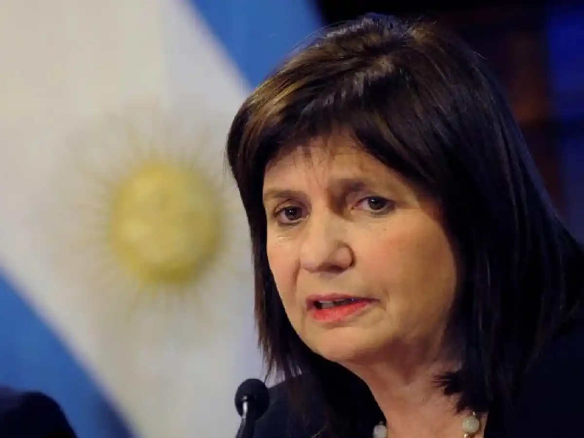 Patricia Bullrich: "las protestas en los shoppings son una clara provocación" 