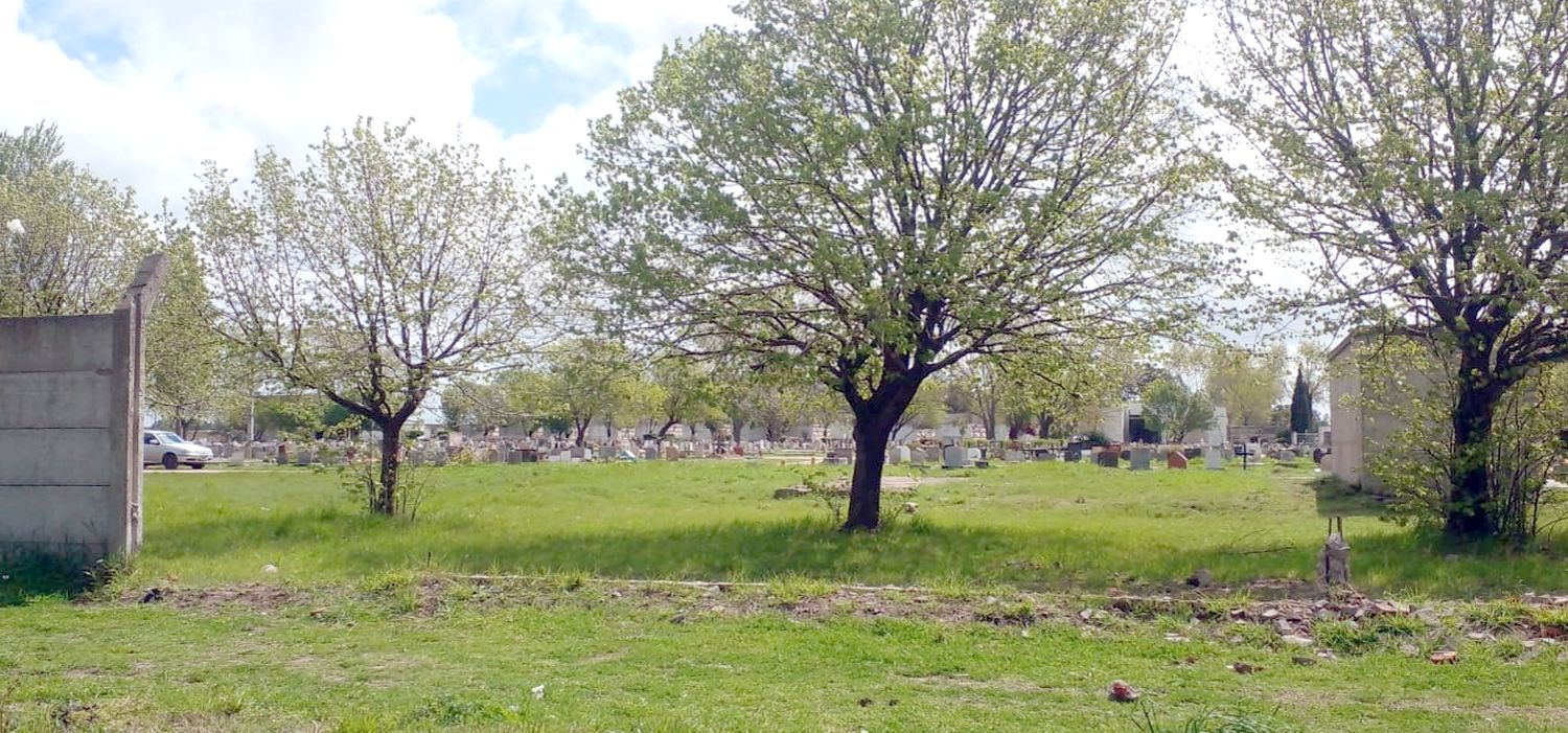 Jardín