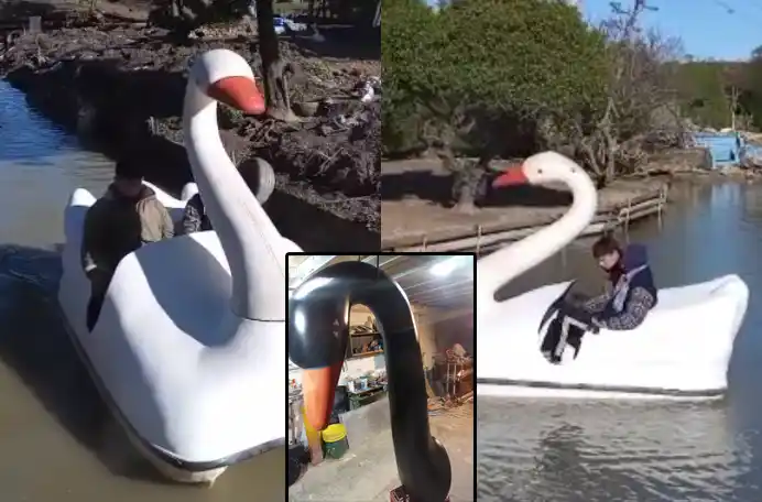 Volvieron los botes que le dieron el nombre al Lago de los Cisnes