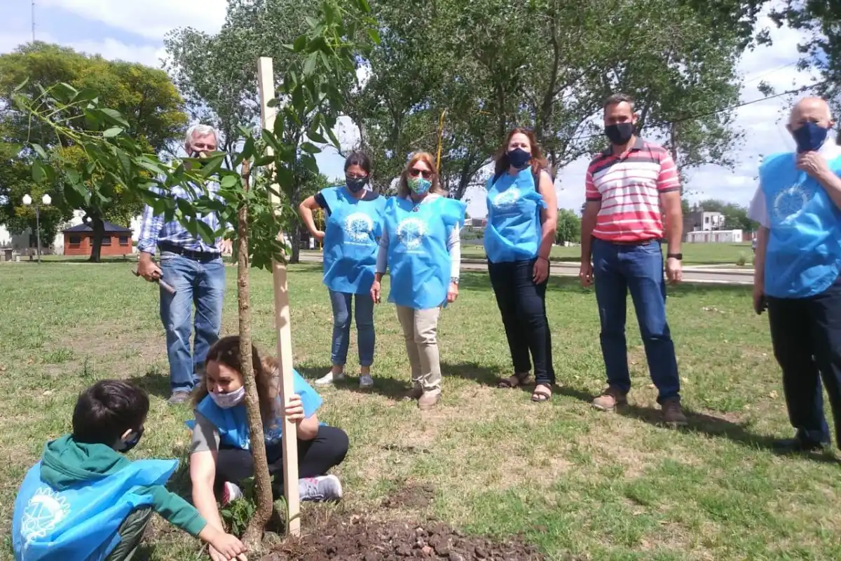 Plantaron árboles nativos en el Monumento al Bicentenario