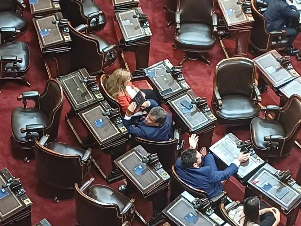 Javier Milei le respondió a Facundo Manes