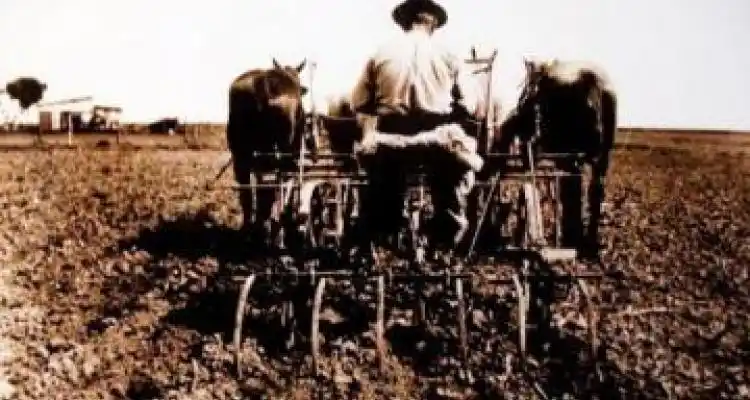 Los años de oro