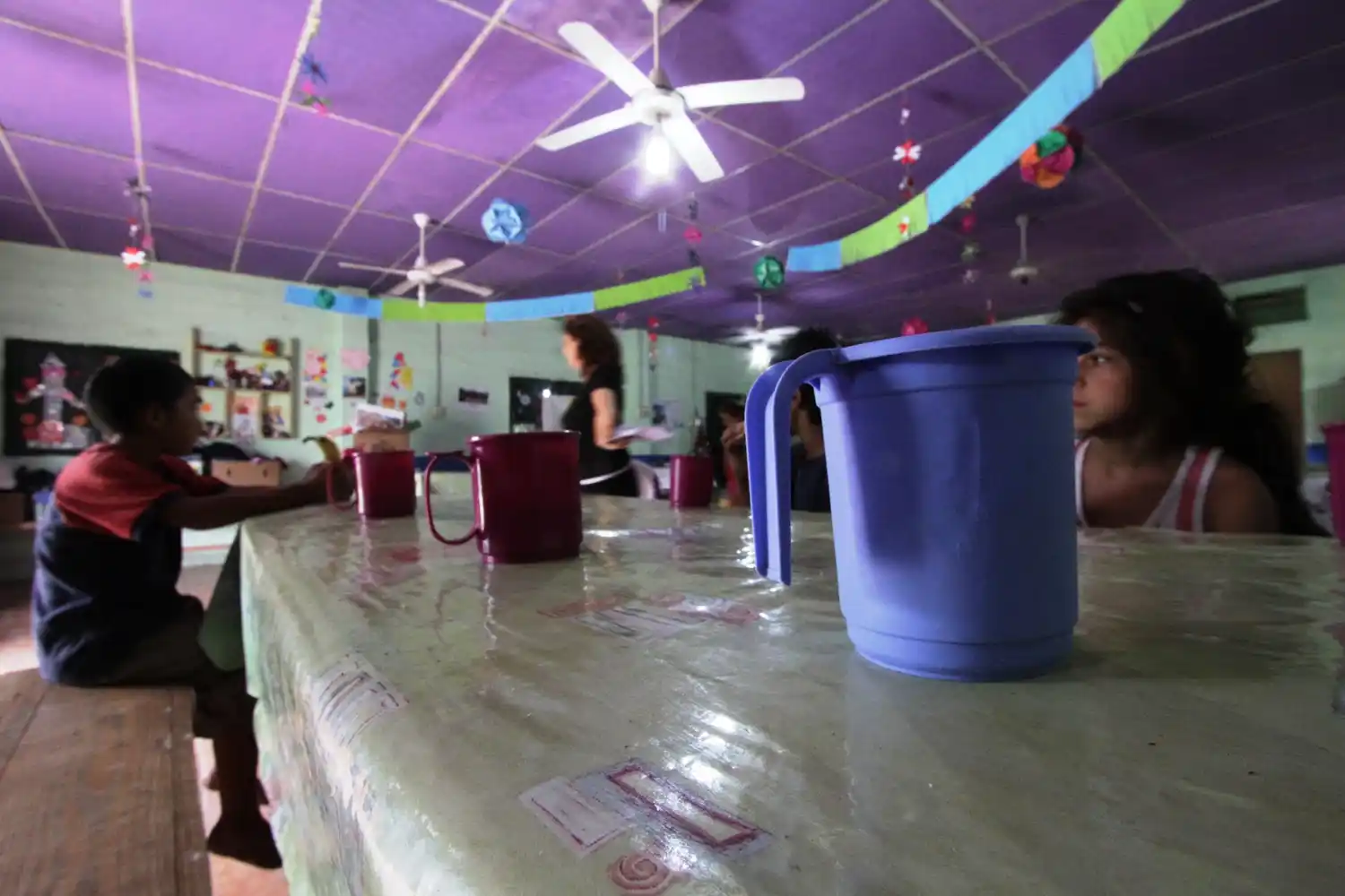 Santa Fe exige a Nación “refuerzos” para las copas de leche