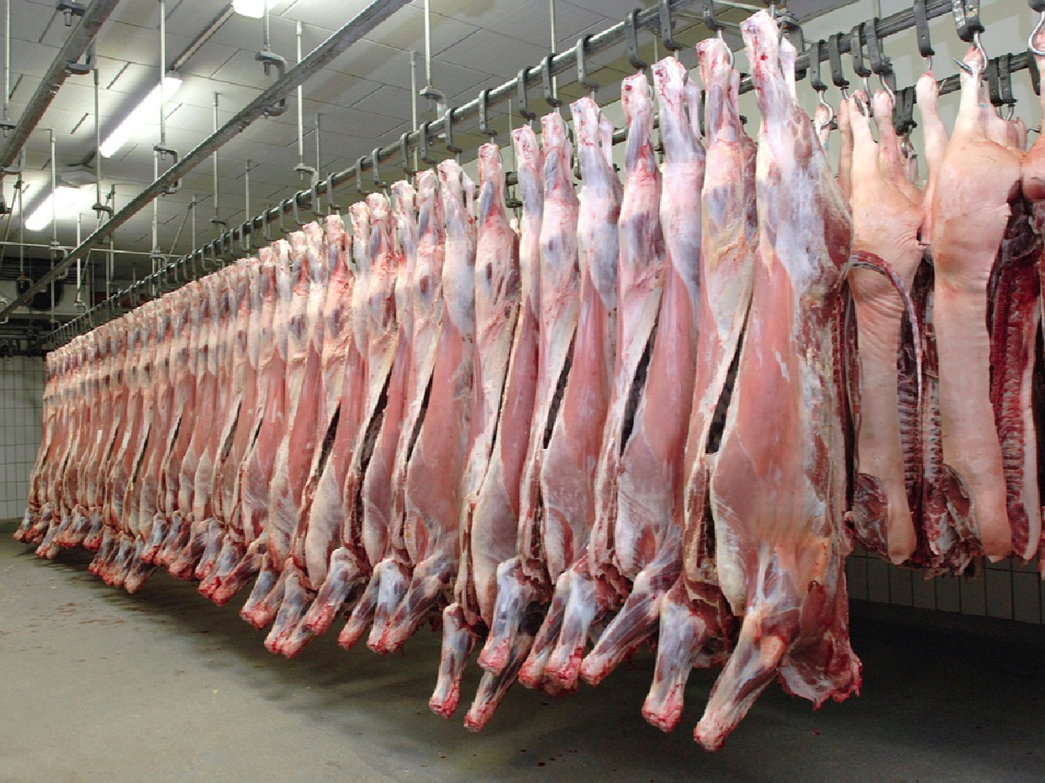 Carne vacuna: la exportación creció 70,3% en ocho meses