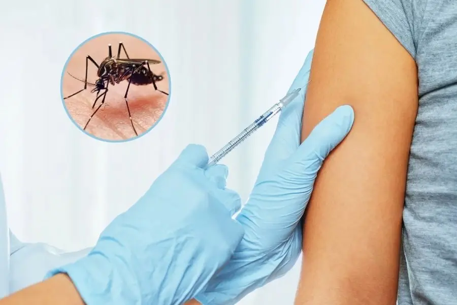 Novedades sobre la vacuna contra el dengue: ¿cuándo estaría disponible en la provincia de Santa Fe?