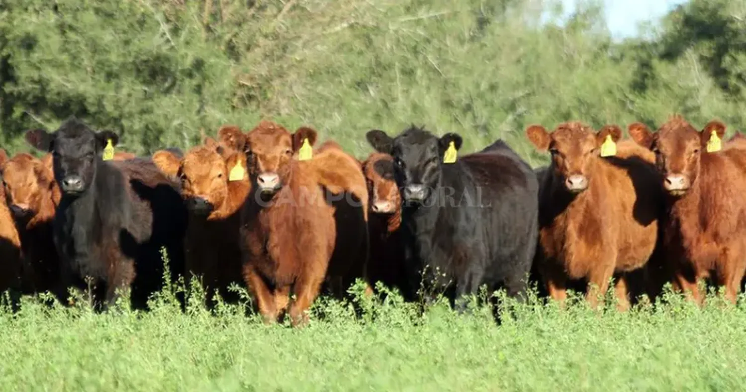 Cambio de expectativas para los productores ganaderos.