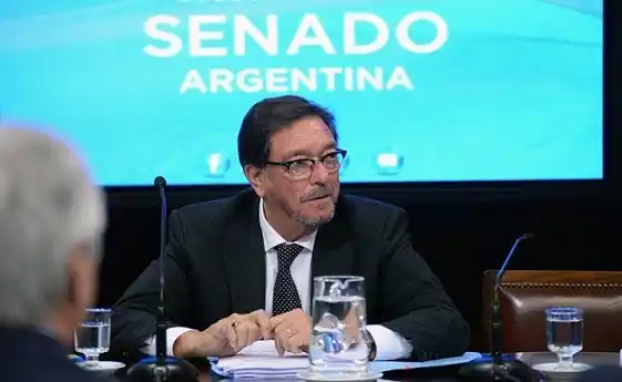 Aborto: Guastavino cuestionó las presiones de la Iglesia y los “cálculos electorales” 