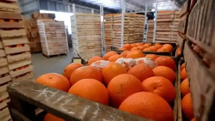 Los productores de citrus de Entre Ríos atraviesan uno de sus peores inviernos por precios bajos