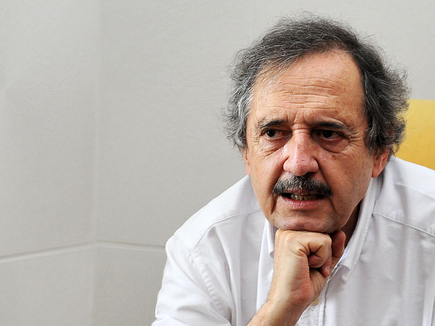 "Sería ideal que la UCR tuviera un candidato propio en 2019"