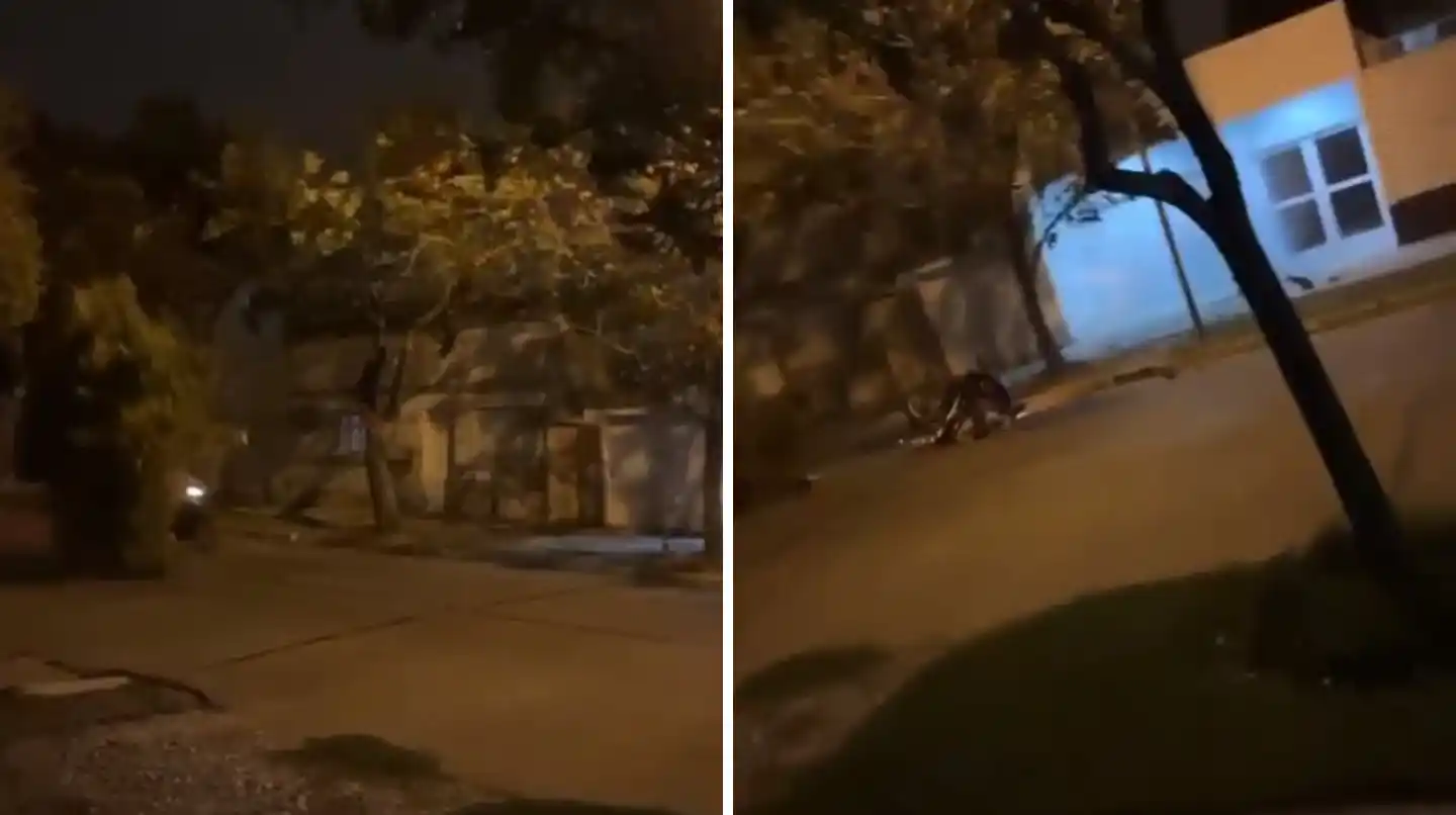 Pudo ser una tragedia