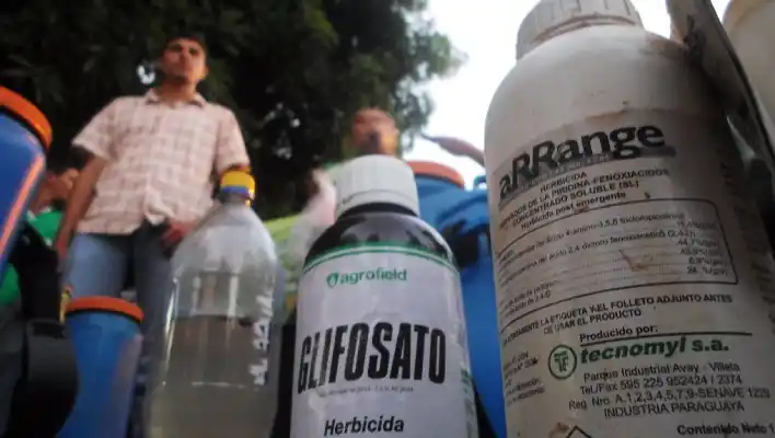 La Justicia declaró inconstitucional la prohibición del uso de Glifosato en Gualeguaychú