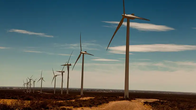 El parque se perfila como un aporte clave a la transición energética del país