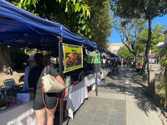 Ferias de Emprendedores: Una oportunidad para descubrir productos locales