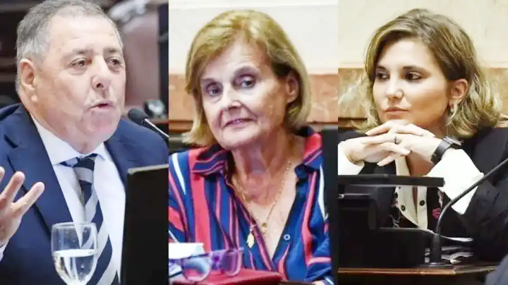Los tres Senadores entrerrianos rechazaron el veto presidencial a Ley de Emergencia en Discapacidad
