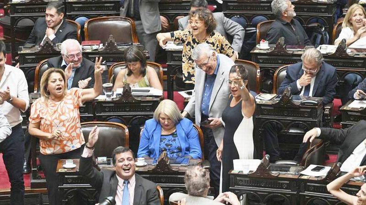 La Cámara de Diputados convirtió en
ley el proyecto de moratoria previsional