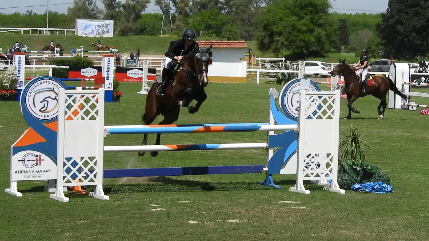 La Majúa obtuvo buenos resultados en el Campeonato Federal de Equitación