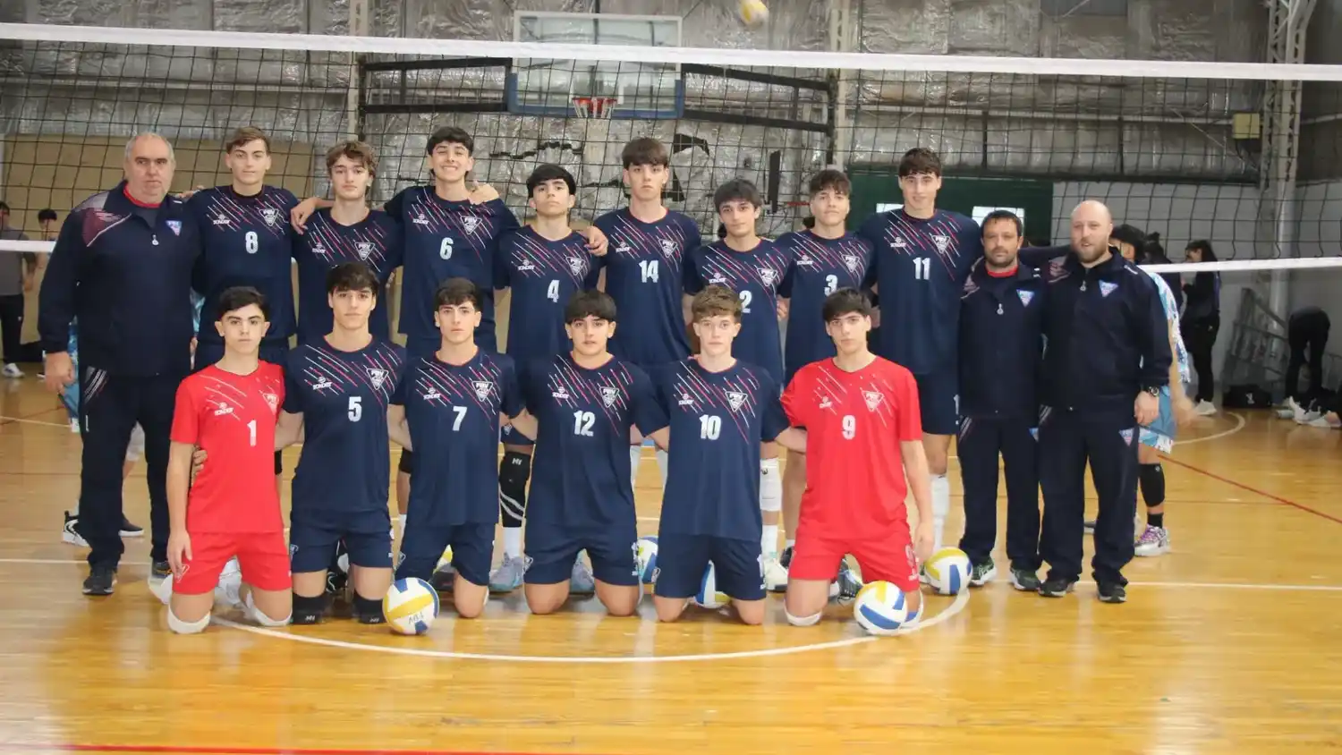 Voley